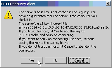 ssl cert accept