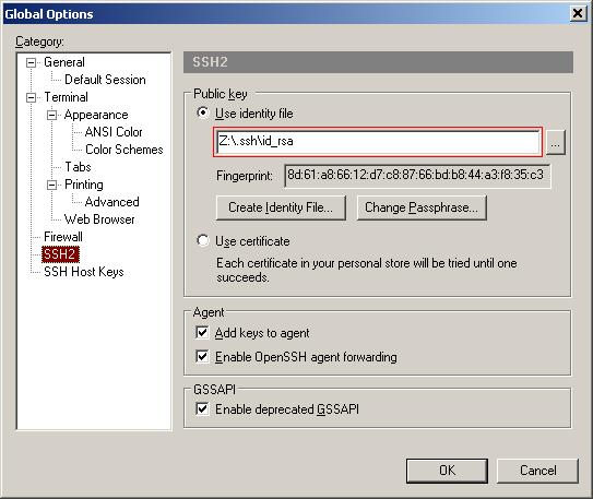 Setting the Global SSH Key