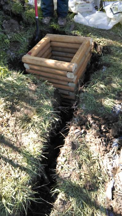 dead_drainage.jpg