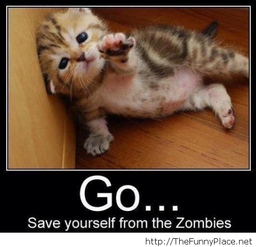 zombiecat.png